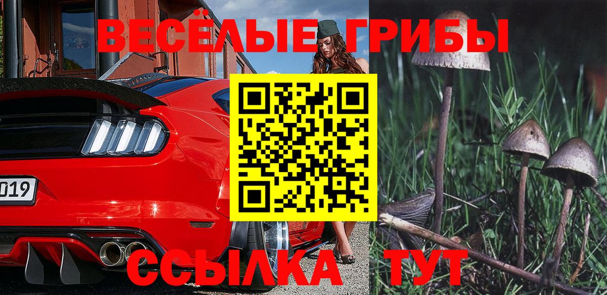 Галлюциногенные грибы Cubensis Белая Калитва